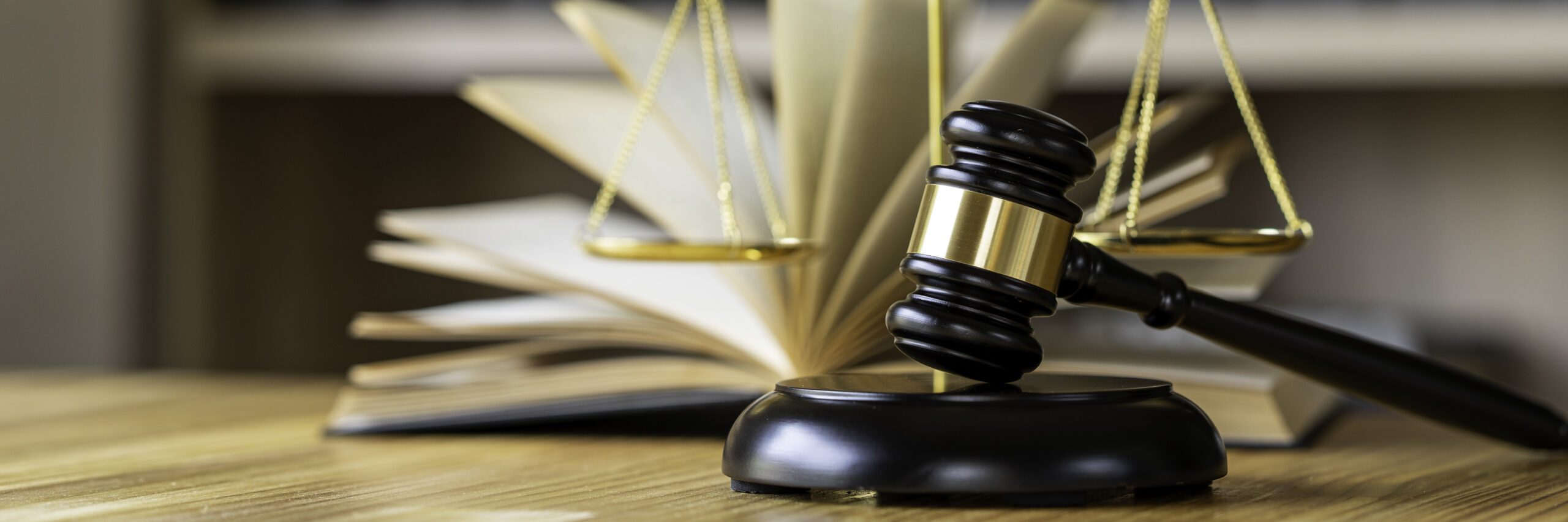 judgment-hammer-legal-office-attorney-at-law-la-2025-02-19-00-22-01-utc